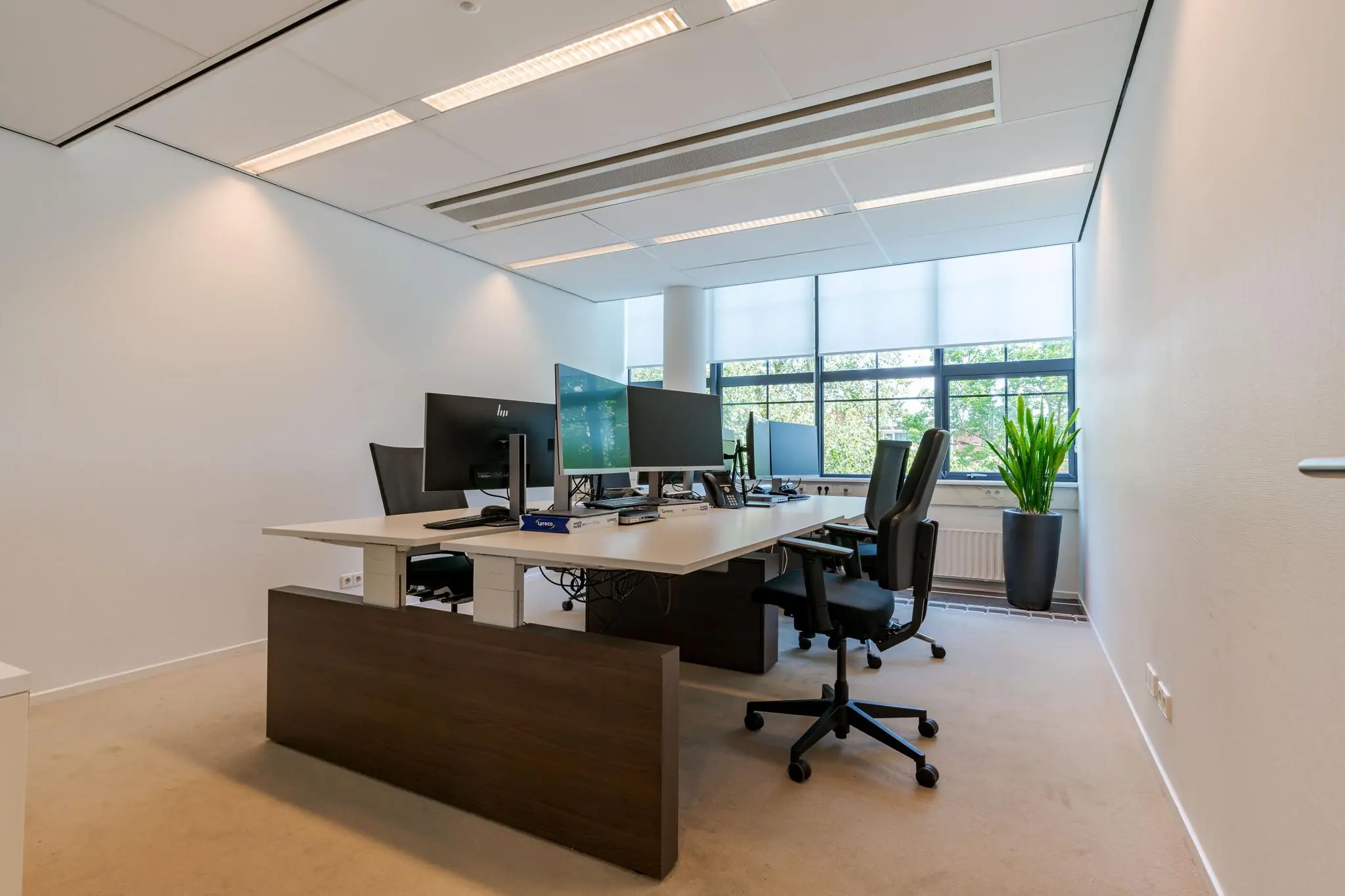 Modern kantoor met meerdere werkplekken, computerschermen en een grote plant bij het raam aan de Van Alkemadelaan.